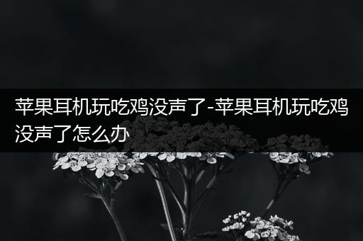 苹果耳机玩吃鸡没声了-苹果耳机玩吃鸡没声了怎么办