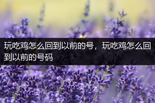 玩吃鸡怎么回到以前的号，玩吃鸡怎么回到以前的号码