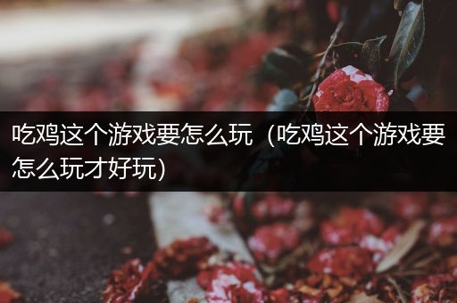 吃鸡这个游戏要怎么玩（吃鸡这个游戏要怎么玩才好玩）
