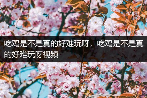 吃鸡是不是真的好难玩呀，吃鸡是不是真的好难玩呀视频