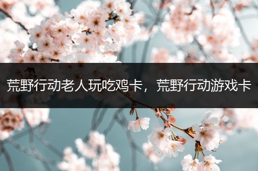 荒野行动老人玩吃鸡卡，荒野行动游戏卡