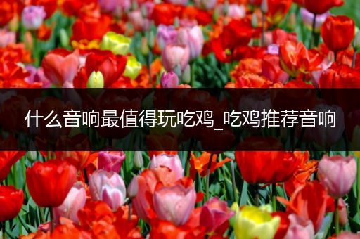 什么音响最值得玩吃鸡_吃鸡推荐音响