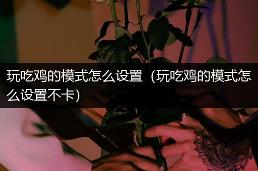 玩吃鸡的模式怎么设置（玩吃鸡的模式怎么设置不卡）