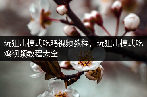 玩狙击模式吃鸡视频教程，玩狙击模式吃鸡视频教程大全