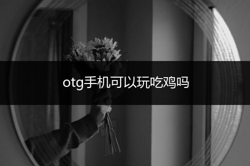 otg手机可以玩吃鸡吗