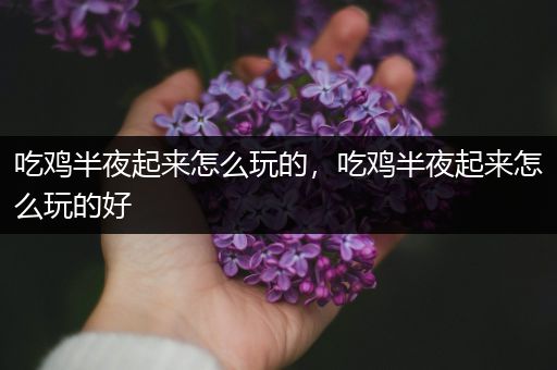 吃鸡半夜起来怎么玩的，吃鸡半夜起来怎么玩的好