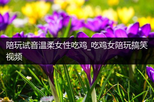 陪玩试音温柔女性吃鸡_吃鸡女陪玩搞笑视频