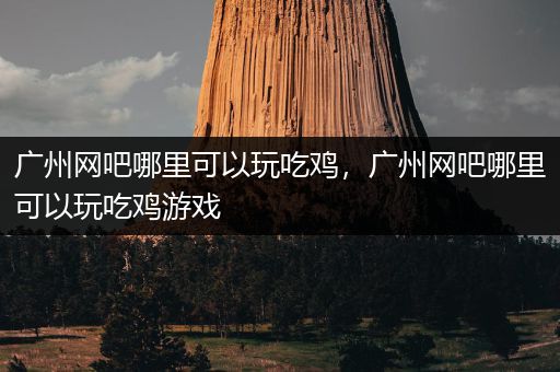 广州网吧哪里可以玩吃鸡，广州网吧哪里可以玩吃鸡游戏