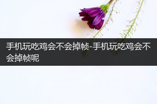 手机玩吃鸡会不会掉帧-手机玩吃鸡会不会掉帧呢