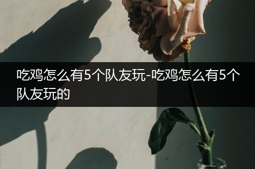吃鸡怎么有5个队友玩-吃鸡怎么有5个队友玩的
