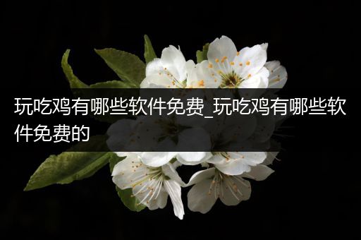 玩吃鸡有哪些软件免费_玩吃鸡有哪些软件免费的