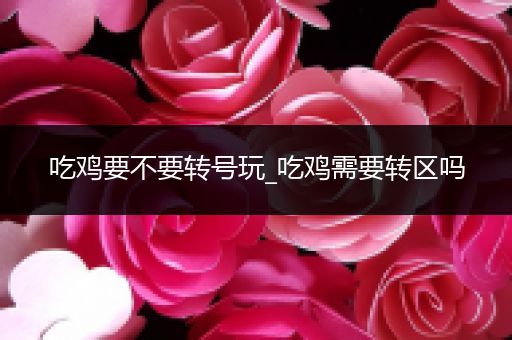 吃鸡要不要转号玩_吃鸡需要转区吗