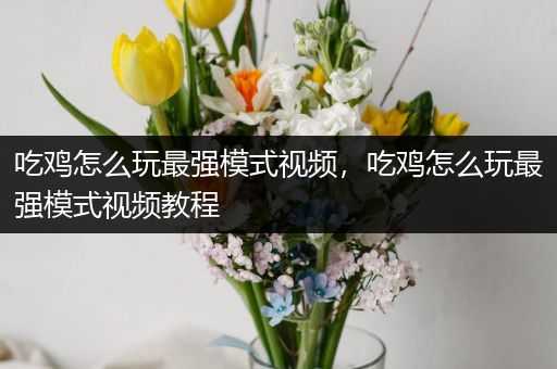 吃鸡怎么玩最强模式视频，吃鸡怎么玩最强模式视频教程