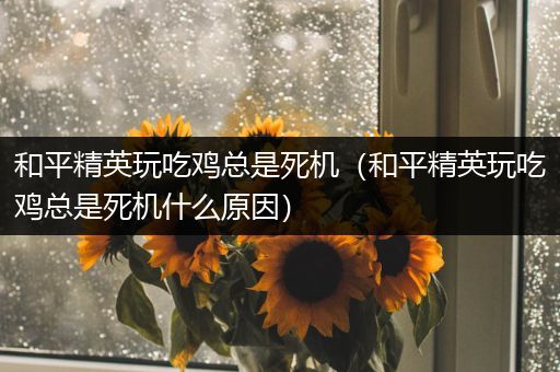 和平精英玩吃鸡总是死机（和平精英玩吃鸡总是死机什么原因）