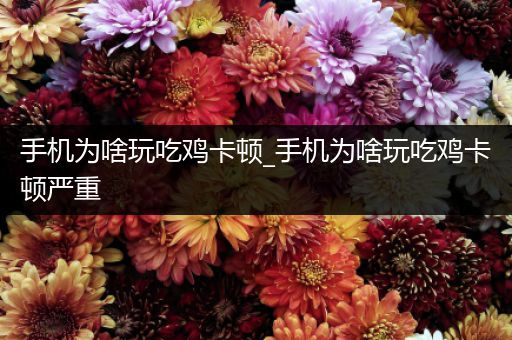 手机为啥玩吃鸡卡顿_手机为啥玩吃鸡卡顿严重