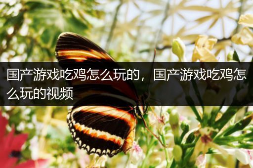 国产游戏吃鸡怎么玩的，国产游戏吃鸡怎么玩的视频