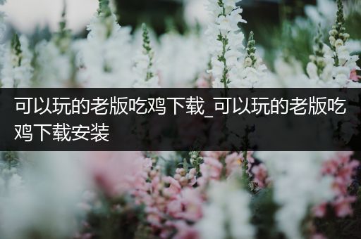 可以玩的老版吃鸡下载_可以玩的老版吃鸡下载安装