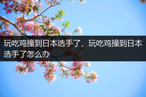 玩吃鸡撞到日本选手了，玩吃鸡撞到日本选手了怎么办