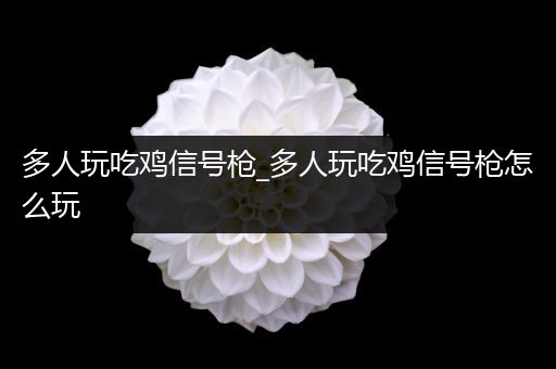 多人玩吃鸡信号枪_多人玩吃鸡信号枪怎么玩