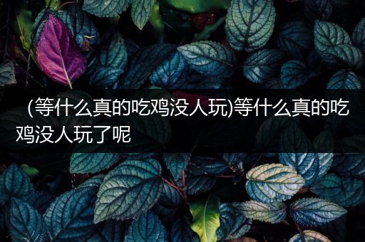 （等什么真的吃鸡没人玩)等什么真的吃鸡没人玩了呢