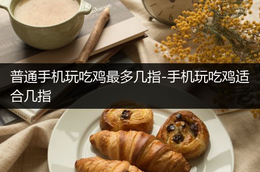 普通手机玩吃鸡最多几指-手机玩吃鸡适合几指