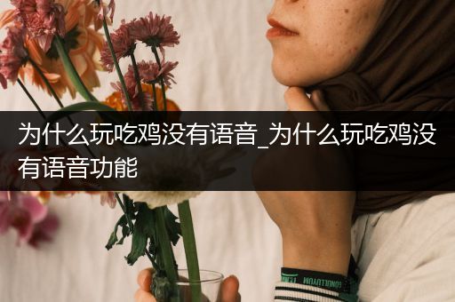 为什么玩吃鸡没有语音_为什么玩吃鸡没有语音功能