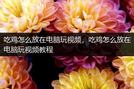 吃鸡怎么放在电脑玩视频，吃鸡怎么放在电脑玩视频教程