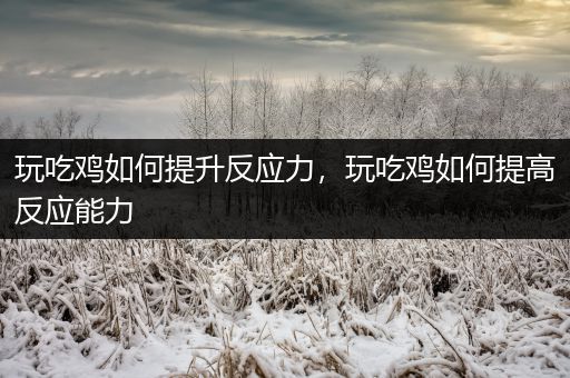玩吃鸡如何提升反应力，玩吃鸡如何提高反应能力