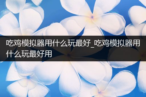 吃鸡模拟器用什么玩最好_吃鸡模拟器用什么玩最好用