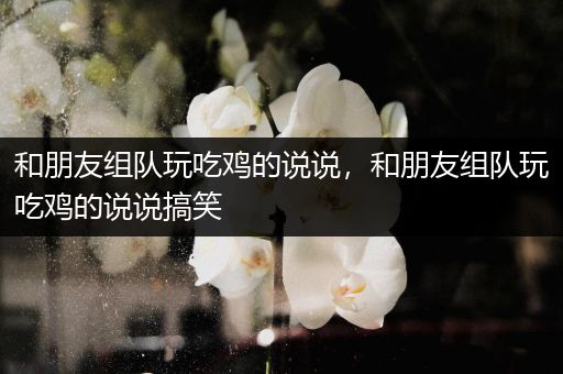 和朋友组队玩吃鸡的说说，和朋友组队玩吃鸡的说说搞笑