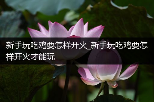 新手玩吃鸡要怎样开火_新手玩吃鸡要怎样开火才能玩