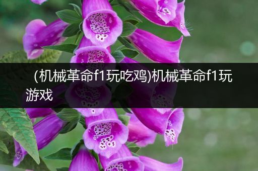 （机械革命f1玩吃鸡)机械革命f1玩游戏
