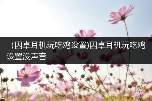 （因卓耳机玩吃鸡设置)因卓耳机玩吃鸡设置没声音