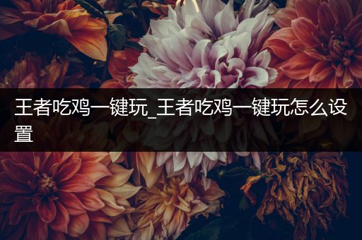 王者吃鸡一键玩_王者吃鸡一键玩怎么设置