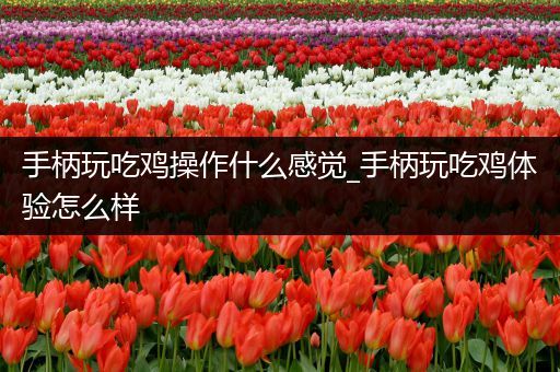 手柄玩吃鸡操作什么感觉_手柄玩吃鸡体验怎么样