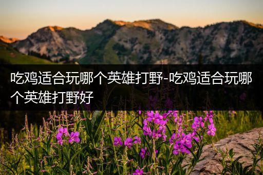 吃鸡适合玩哪个英雄打野-吃鸡适合玩哪个英雄打野好