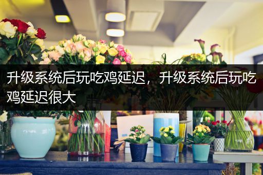 升级系统后玩吃鸡延迟，升级系统后玩吃鸡延迟很大