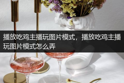 播放吃鸡主播玩图片模式，播放吃鸡主播玩图片模式怎么弄