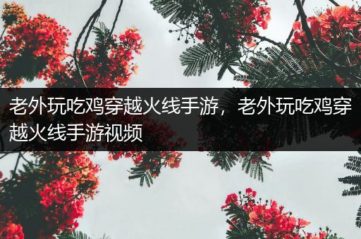 老外玩吃鸡穿越火线手游，老外玩吃鸡穿越火线手游视频