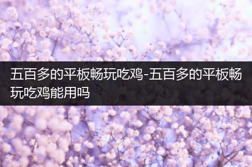 五百多的平板畅玩吃鸡-五百多的平板畅玩吃鸡能用吗
