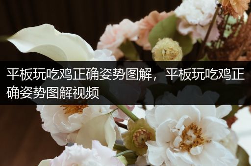 平板玩吃鸡正确姿势图解，平板玩吃鸡正确姿势图解视频