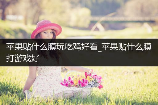 苹果贴什么膜玩吃鸡好看_苹果贴什么膜打游戏好