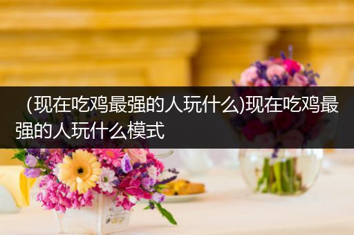 （现在吃鸡最强的人玩什么)现在吃鸡最强的人玩什么模式