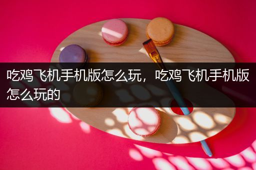 吃鸡飞机手机版怎么玩，吃鸡飞机手机版怎么玩的
