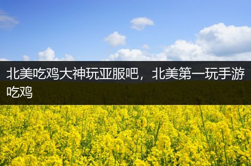 北美吃鸡大神玩亚服吧，北美第一玩手游吃鸡