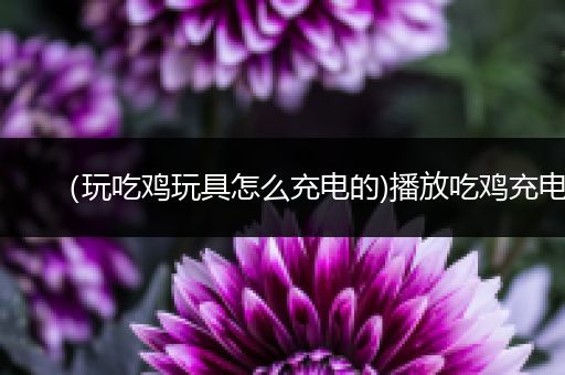 （玩吃鸡玩具怎么充电的)播放吃鸡充电