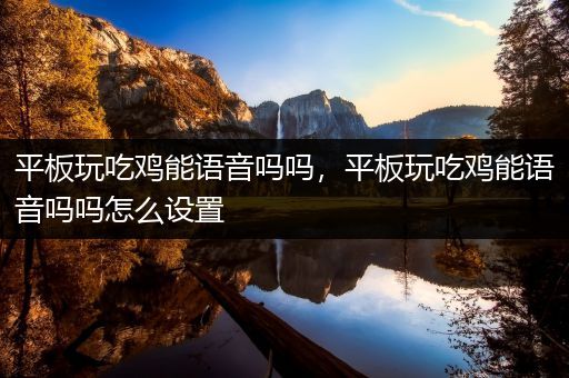 平板玩吃鸡能语音吗吗，平板玩吃鸡能语音吗吗怎么设置