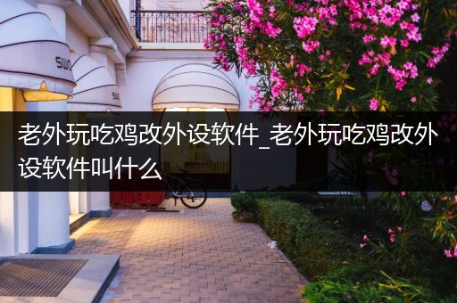 老外玩吃鸡改外设软件_老外玩吃鸡改外设软件叫什么