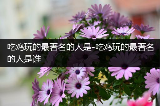 吃鸡玩的最著名的人是-吃鸡玩的最著名的人是谁