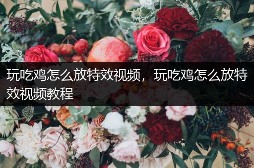 玩吃鸡怎么放特效视频，玩吃鸡怎么放特效视频教程